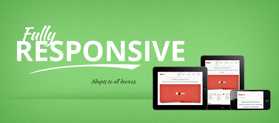 设计与项目总览